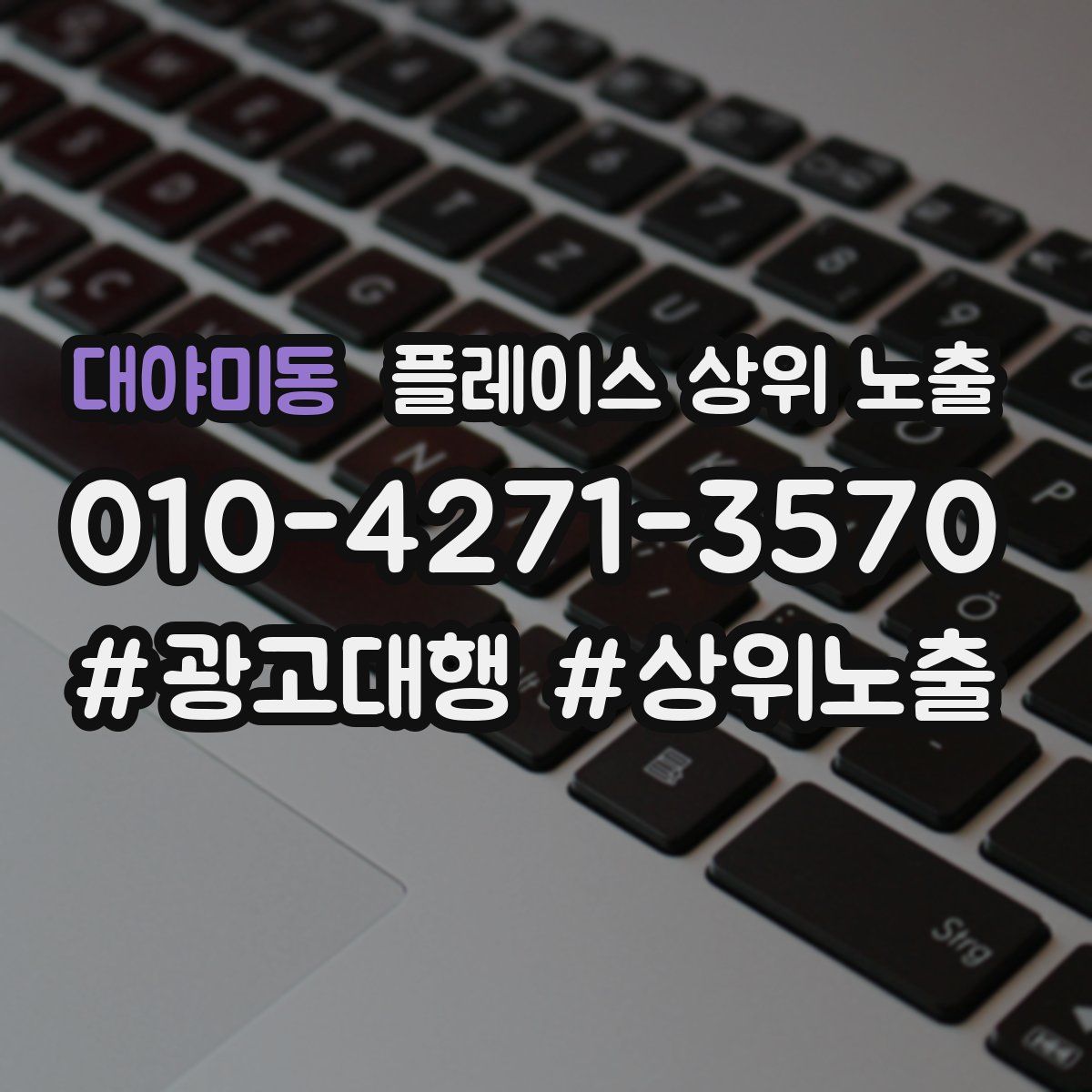 대야미동 플레이스 상위 노출