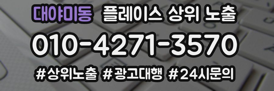 대야미동 플레이스 상위 노출