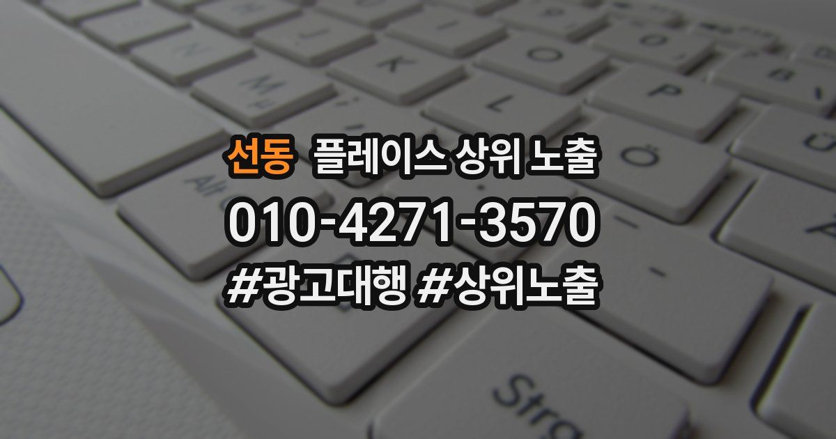 선동 플레이스 상위 노출