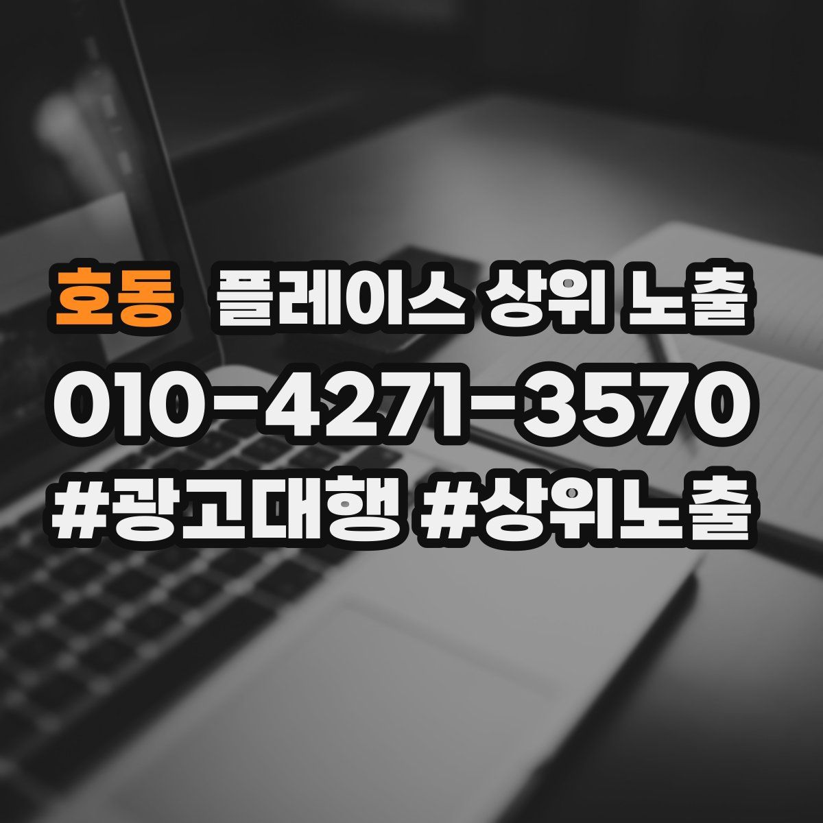 호동 플레이스 상위 노출