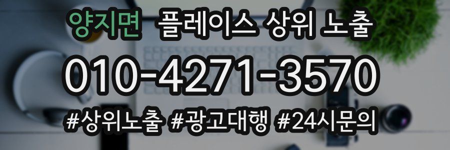 양지면 플레이스 상위 노출