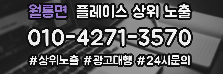 월롱면 플레이스 상위 노출