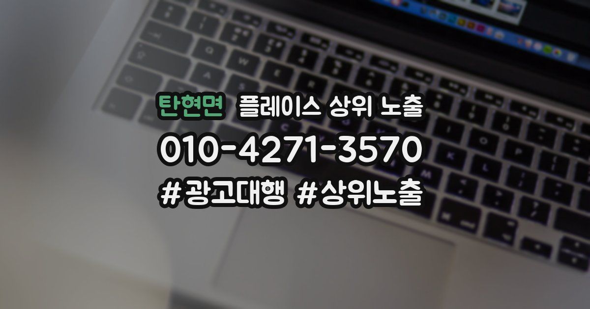 탄현면 플레이스 상위 노출