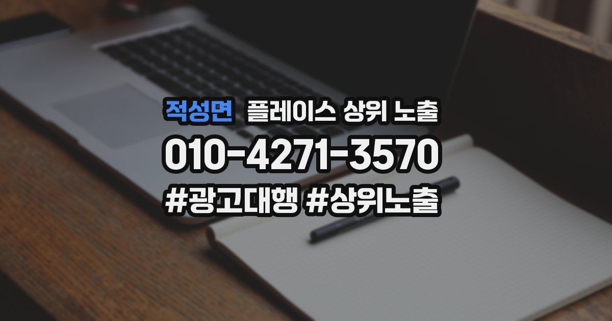 적성면 플레이스 상위 노출