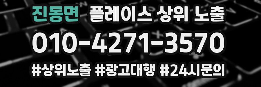 진동면 플레이스 상위 노출