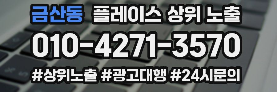 금산동 플레이스 상위 노출