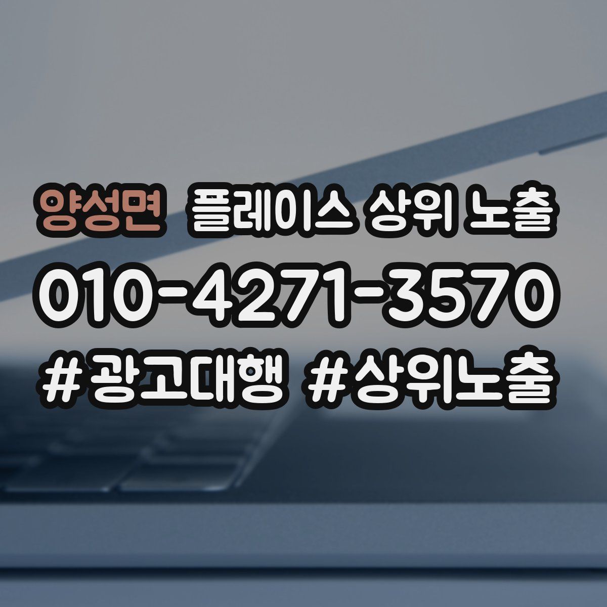 양성면 플레이스 상위 노출
