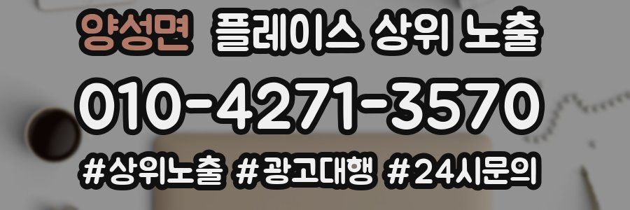 양성면 플레이스 상위 노출