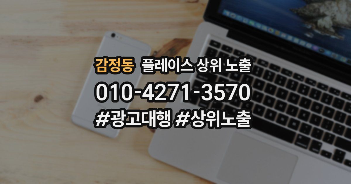 감정동 플레이스 상위 노출