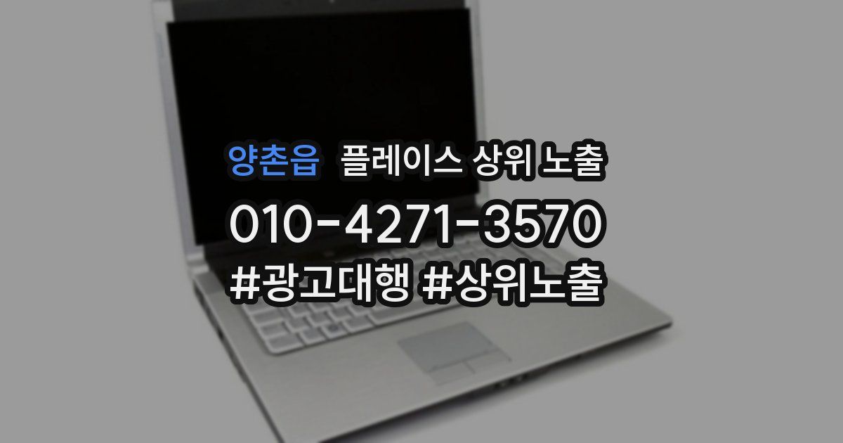 양촌읍 플레이스 상위 노출