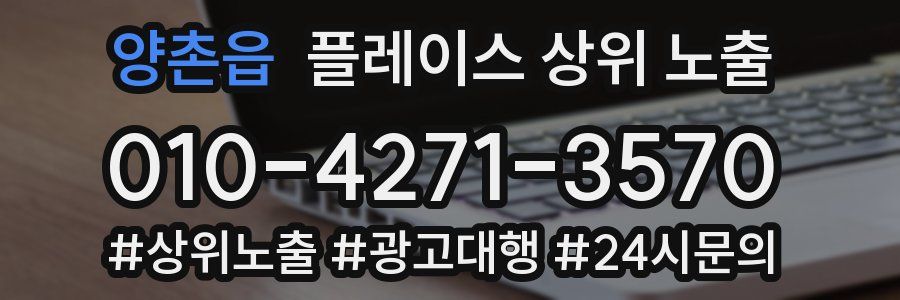 양촌읍 플레이스 상위 노출