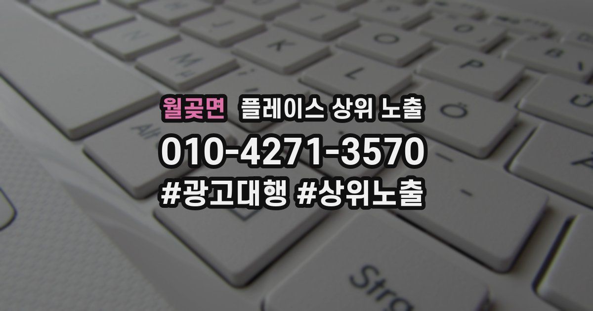 월곶면 플레이스 상위 노출