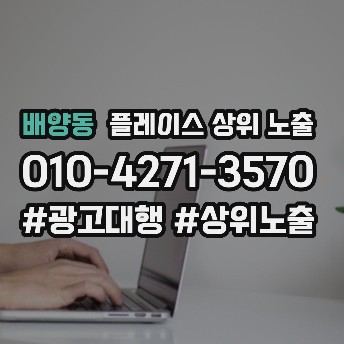배양동 플레이스 상위 노출