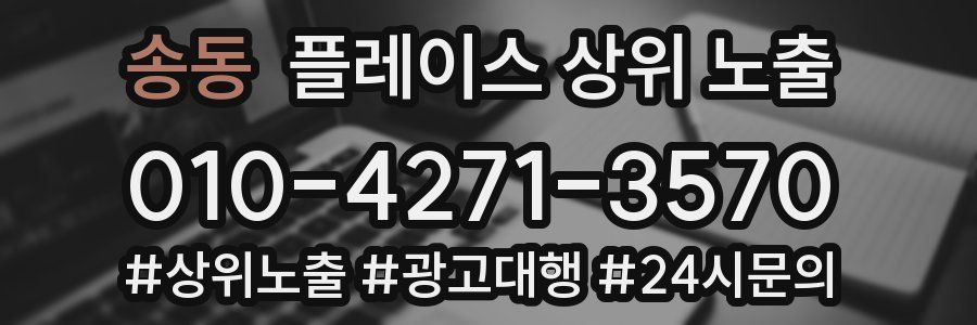 송동 플레이스 상위 노출