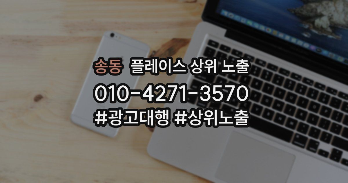 송동 플레이스 상위 노출