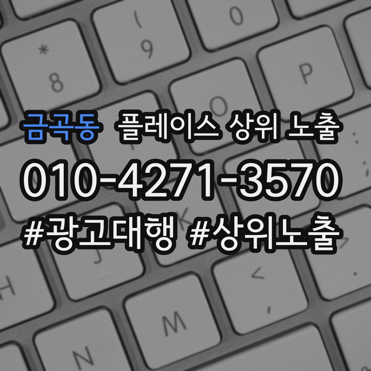 금곡동 플레이스 상위 노출