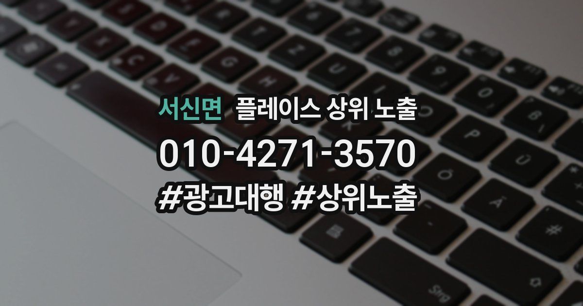 서신면 플레이스 상위 노출