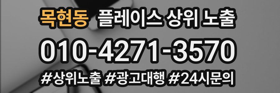 목현동 플레이스 상위 노출