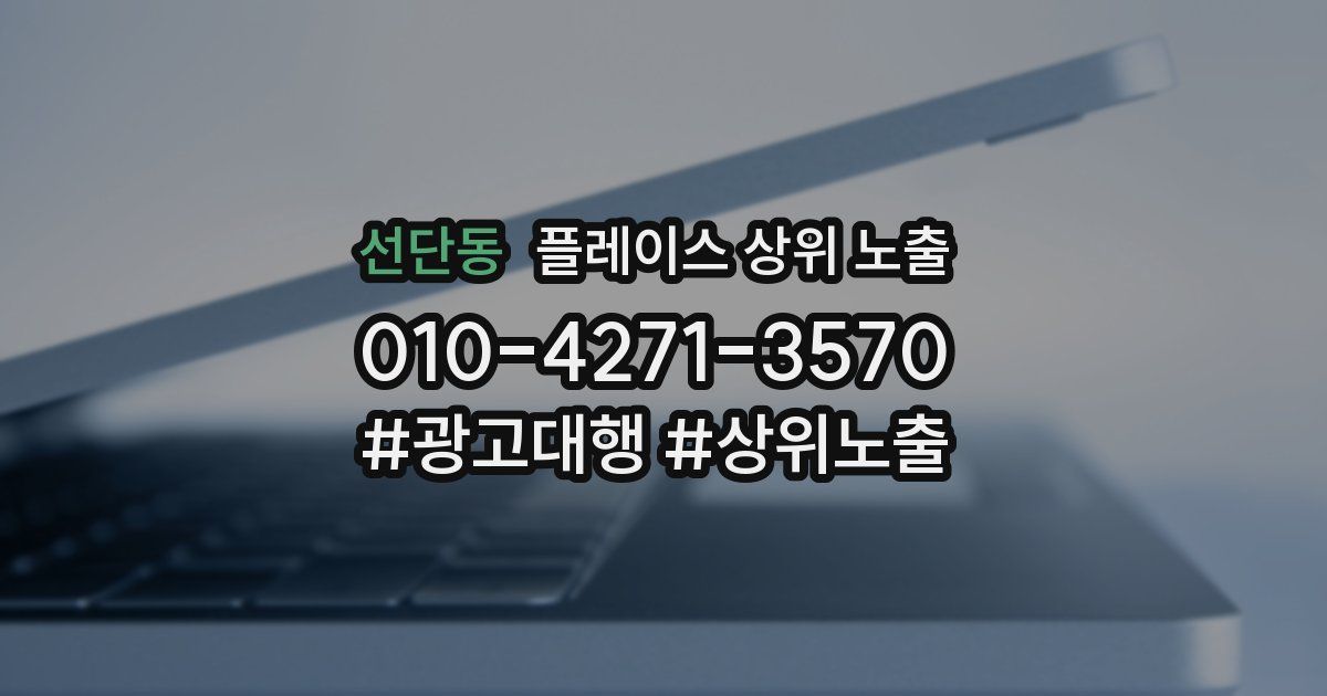 선단동 플레이스 상위 노출