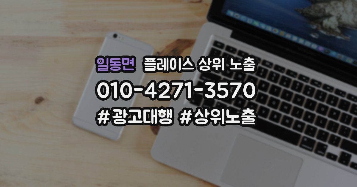 일동면 플레이스 상위 노출