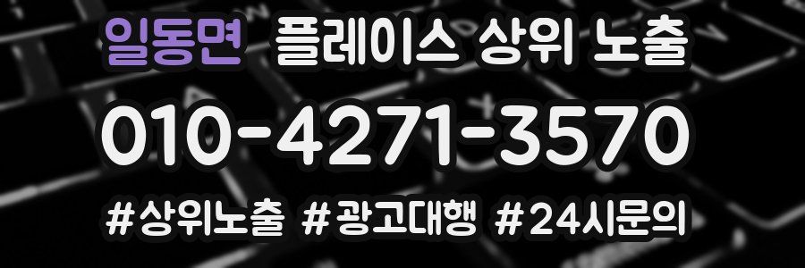 일동면 플레이스 상위 노출
