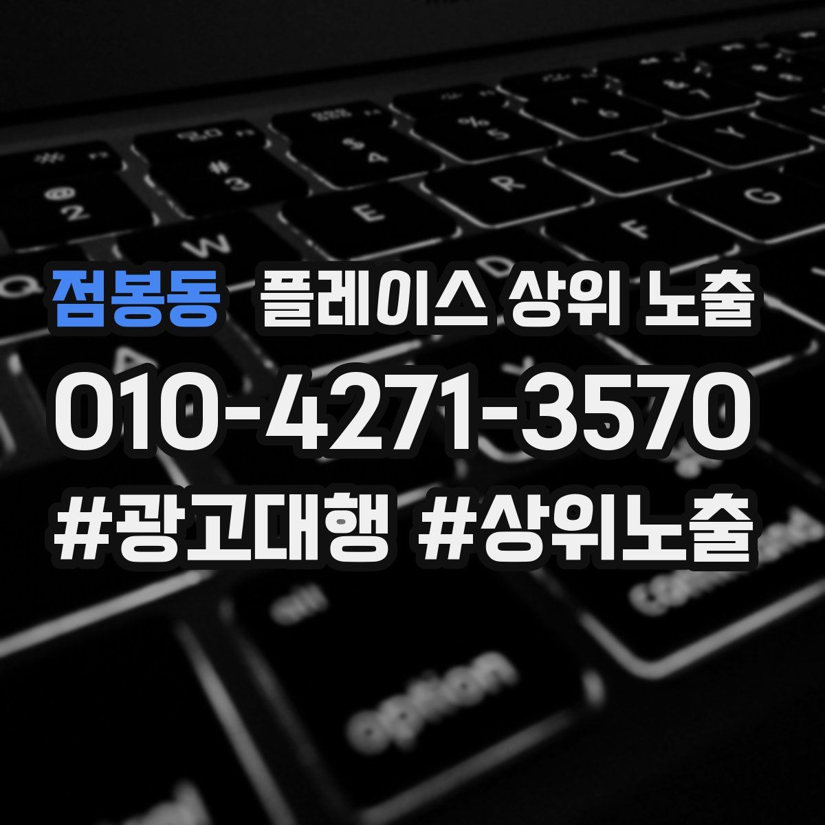 점봉동 플레이스 상위 노출