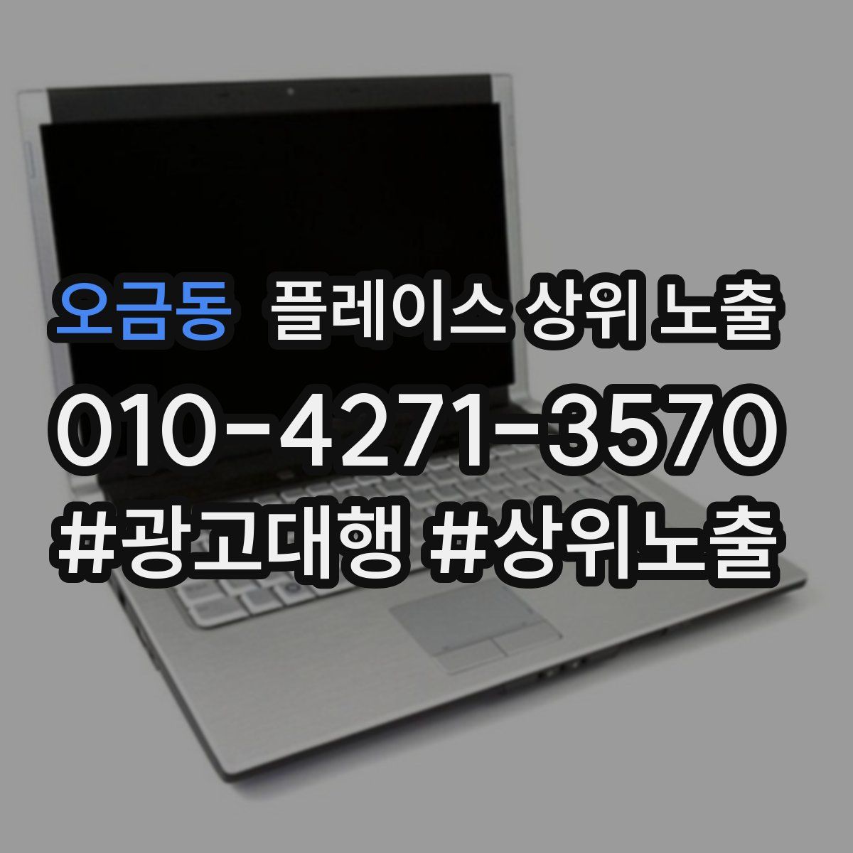 오금동 플레이스 상위 노출
