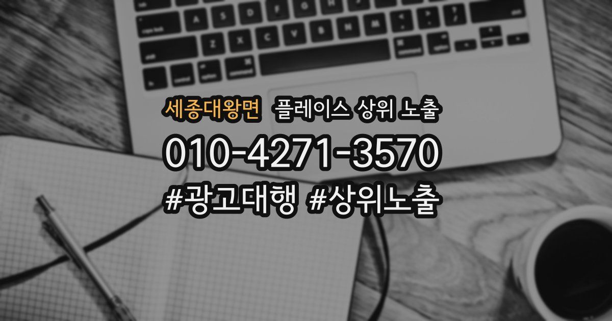 세종대왕면 플레이스 상위 노출