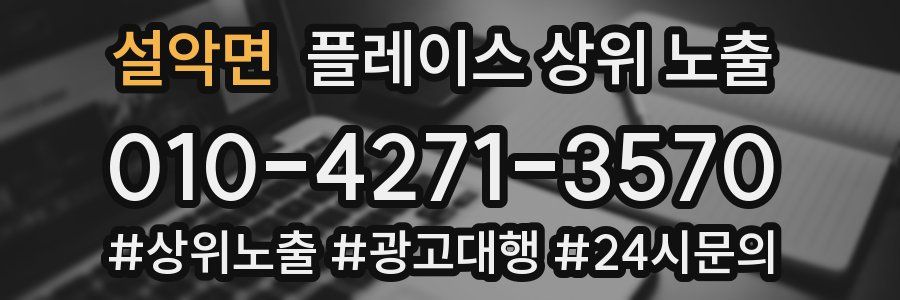 설악면 플레이스 상위 노출
