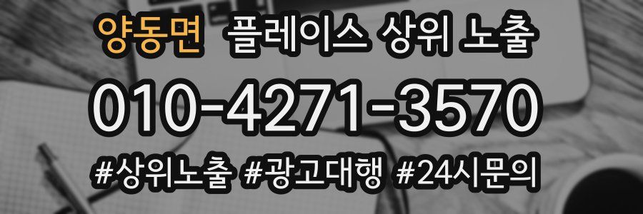양동면 플레이스 상위 노출