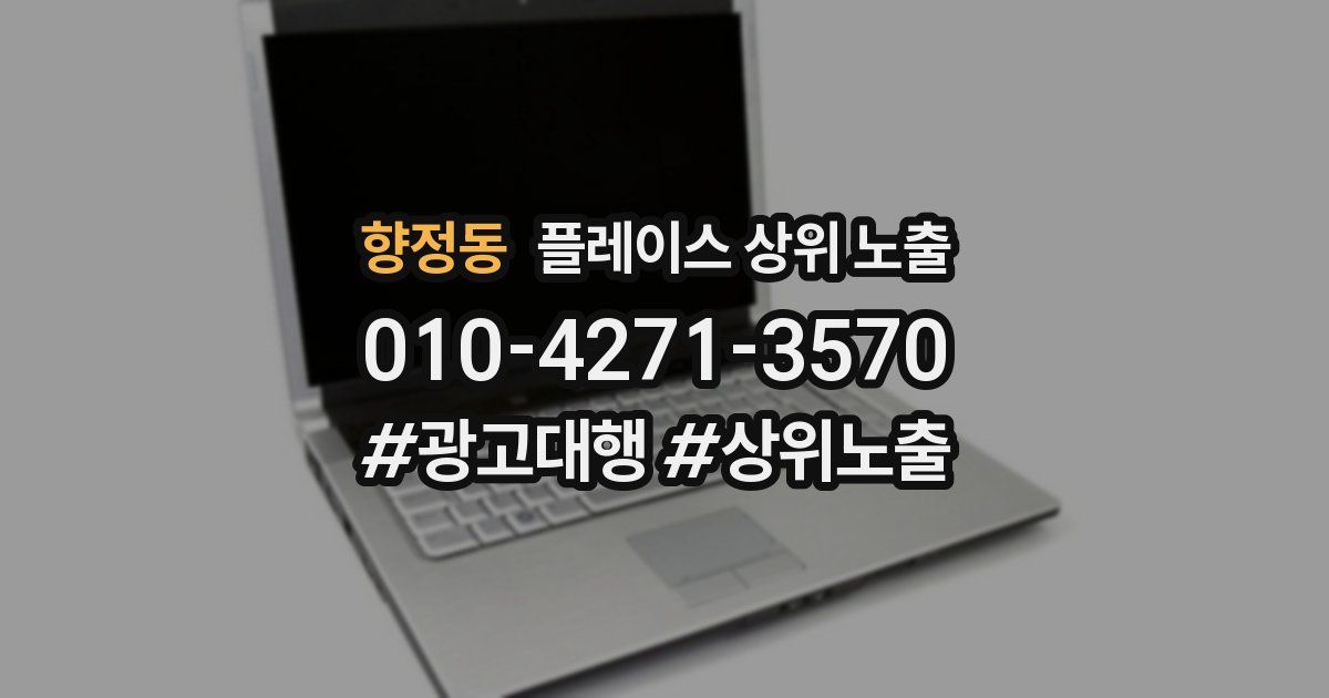향정동 플레이스 상위 노출