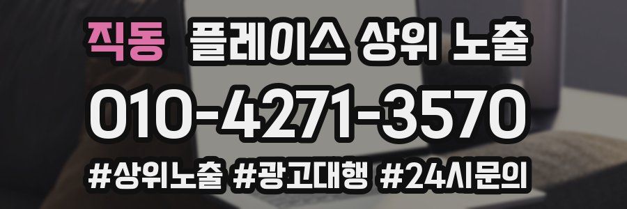 직동 플레이스 상위 노출