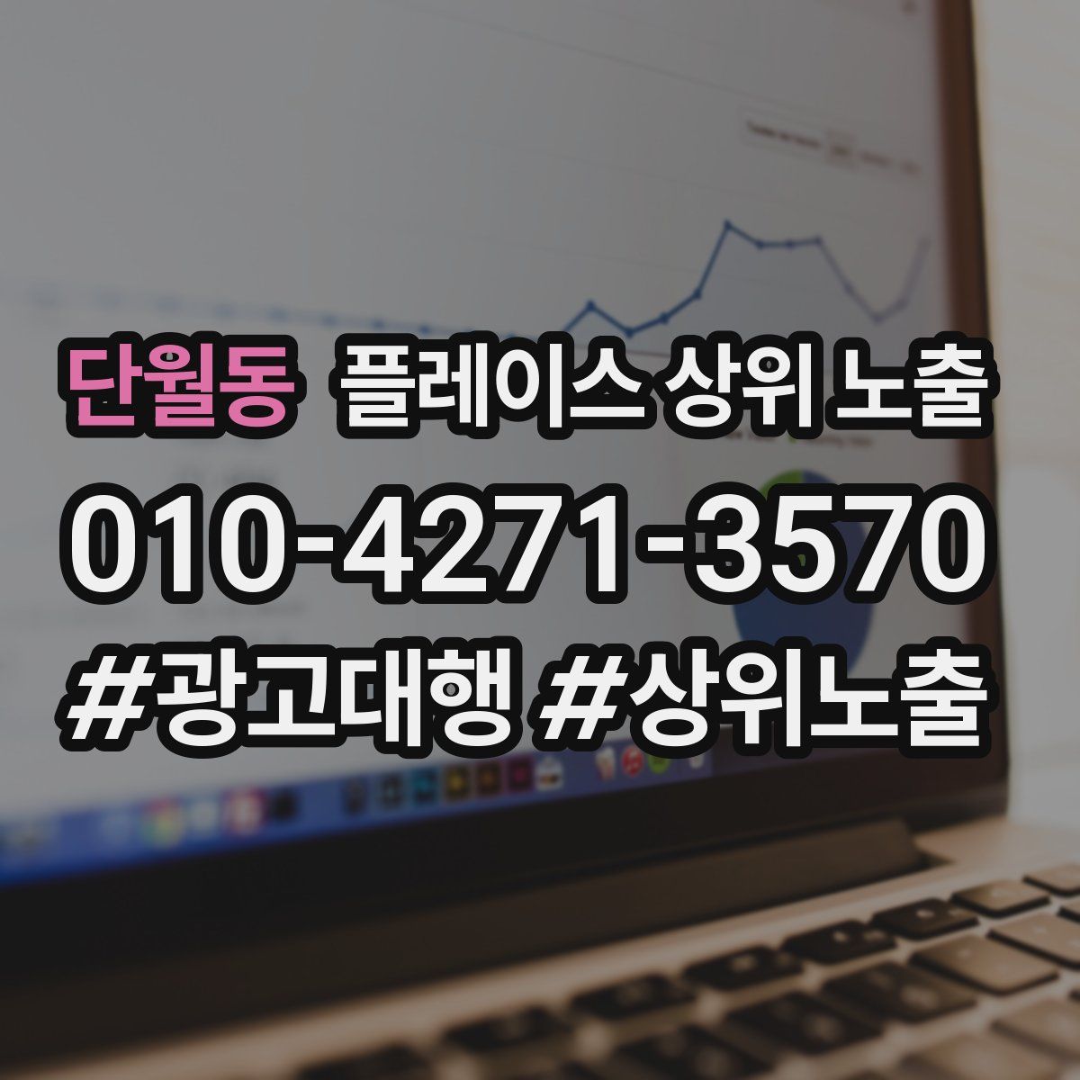 단월동 플레이스 상위 노출