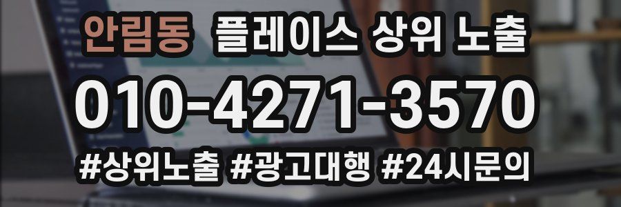 안림동 플레이스 상위 노출