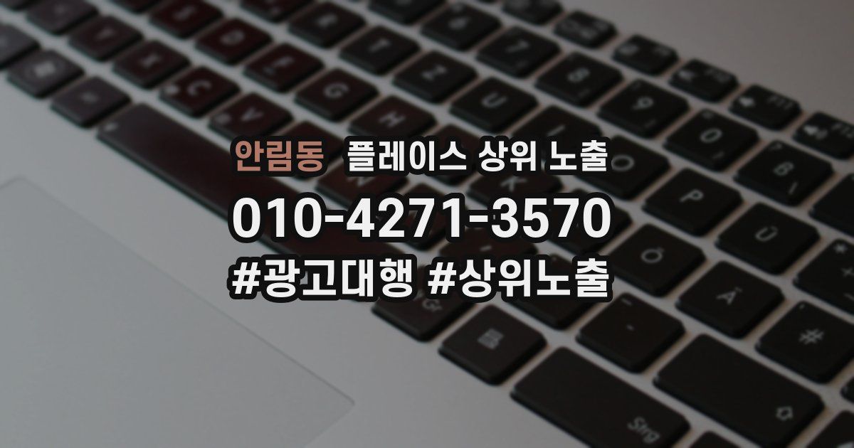 안림동 플레이스 상위 노출