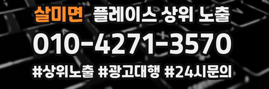 살미면 플레이스 상위 노출