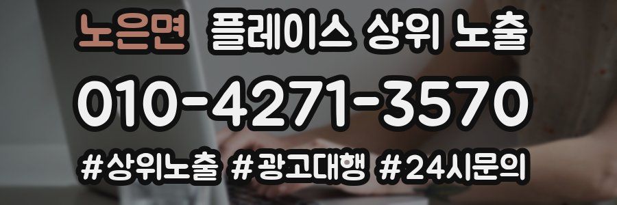 노은면 플레이스 상위 노출