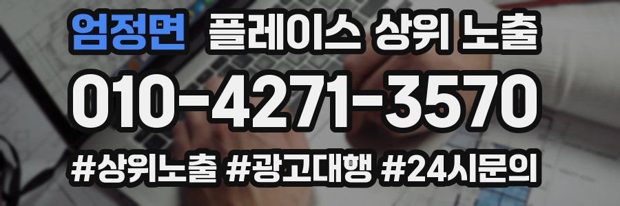 엄정면 플레이스 상위 노출
