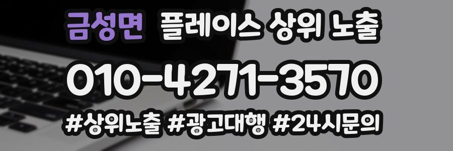 금성면 플레이스 상위 노출
