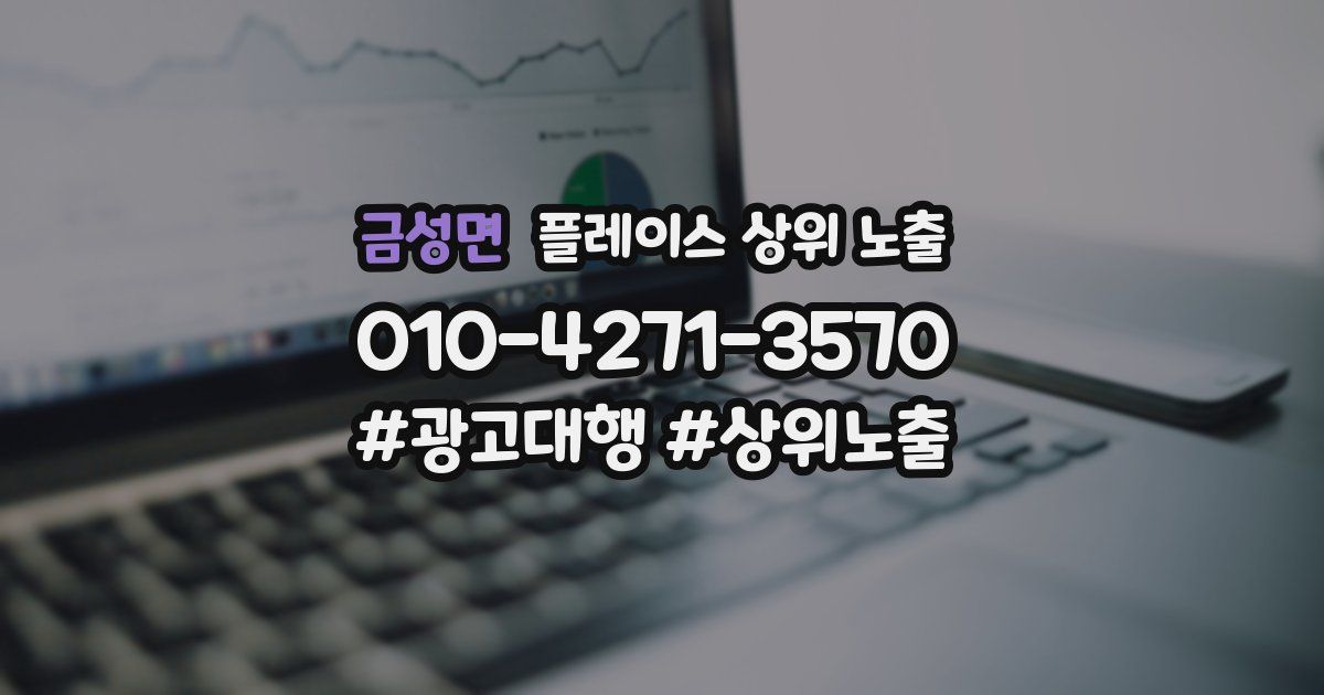 금성면 플레이스 상위 노출