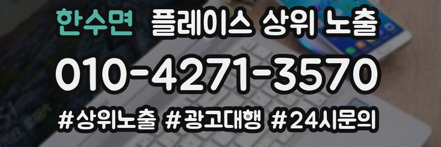 한수면 플레이스 상위 노출