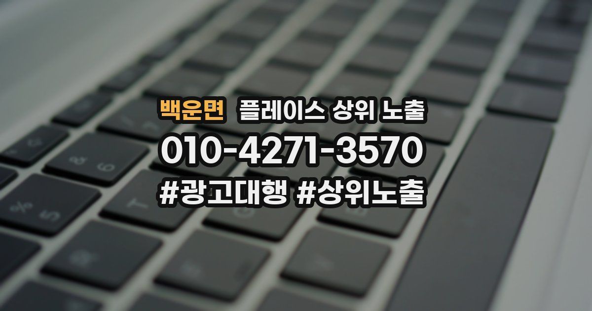 백운면 플레이스 상위 노출