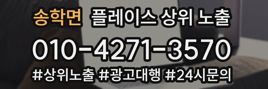 송학면 플레이스 상위 노출