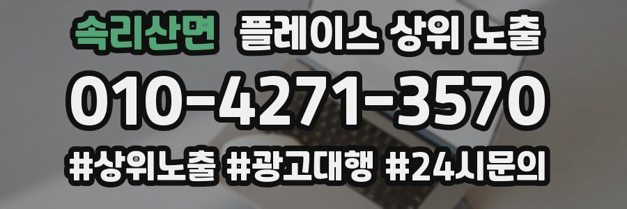 속리산면 플레이스 상위 노출