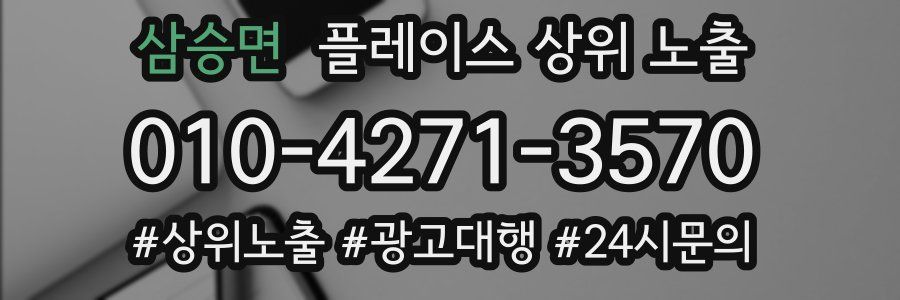삼승면 플레이스 상위 노출