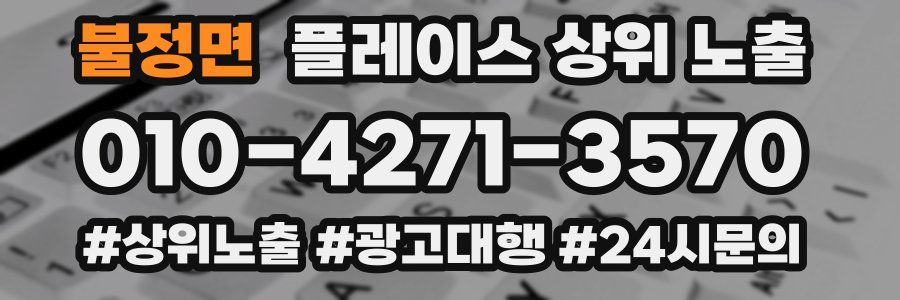 불정면 플레이스 상위 노출