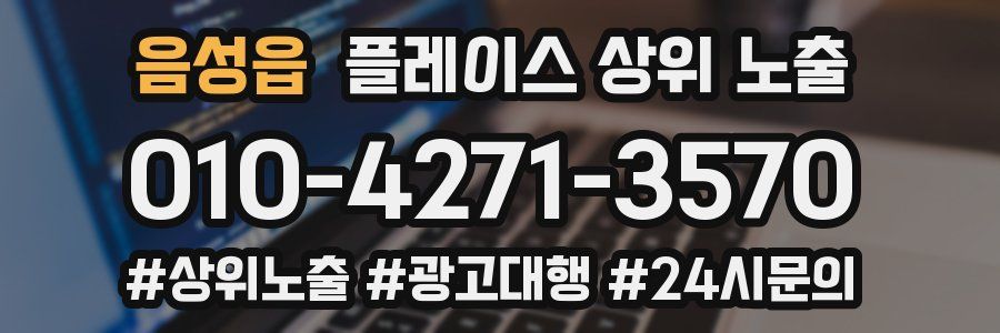 음성읍 플레이스 상위 노출