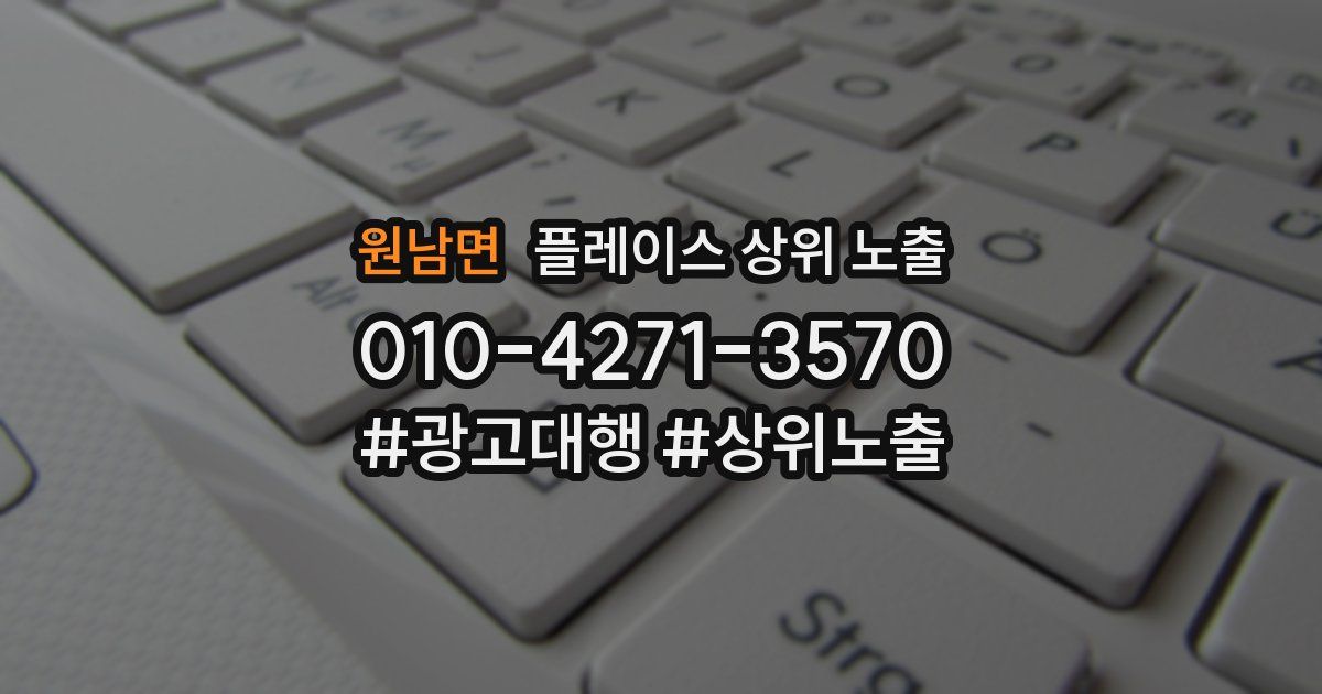 원남면 플레이스 상위 노출
