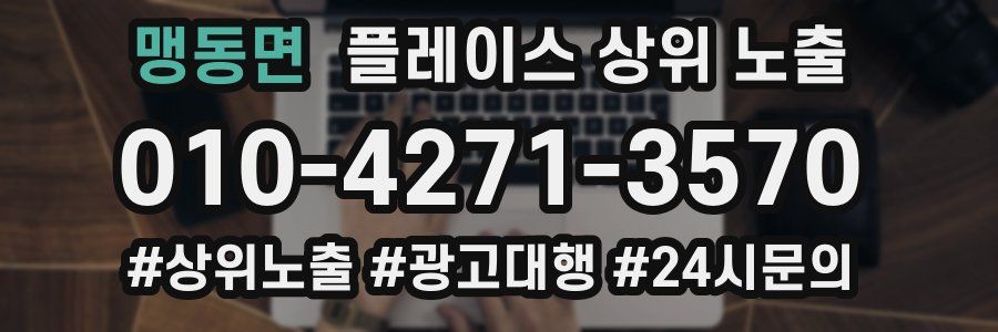 맹동면 플레이스 상위 노출