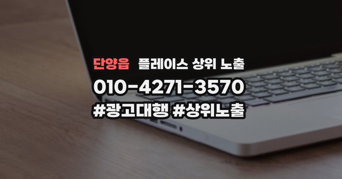 단양읍 플레이스 상위 노출